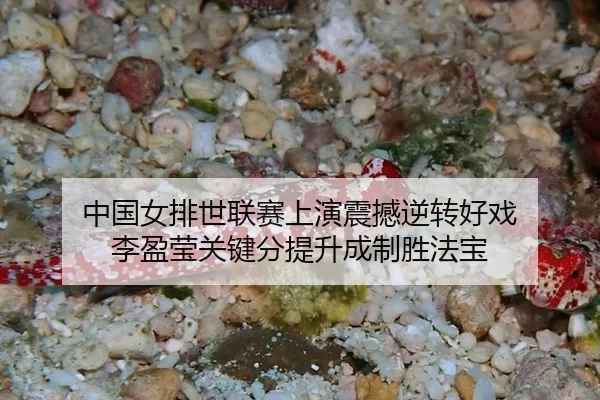 zhong-guo-nv-pai-shi-lian-sai-shang-yan-zhen-han-ni-zhuan-hao-xi-li-ying-ying-guan-jian-fen-ti-sheng-cheng-zhi-sheng-fa-1-618.jpg